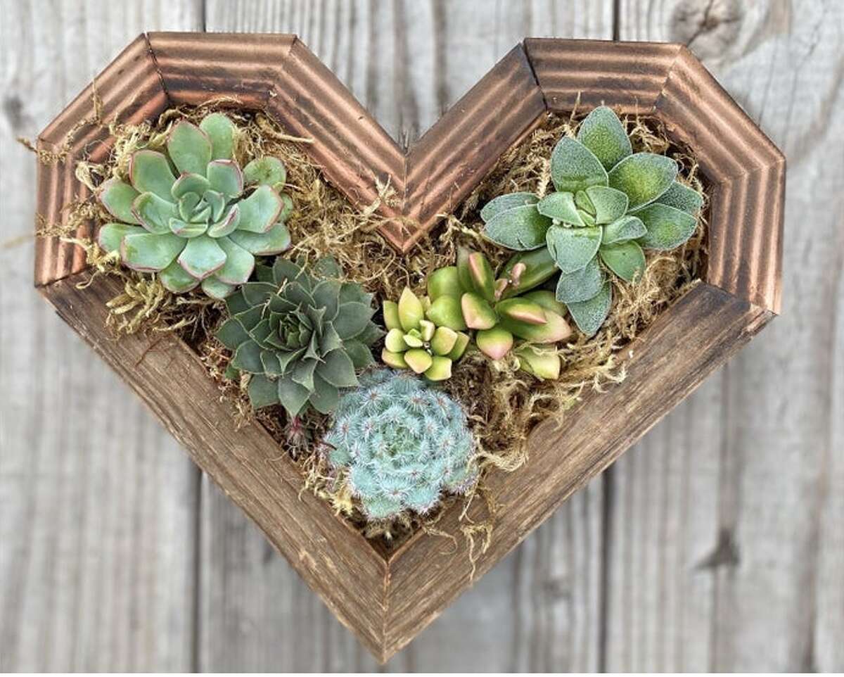 Heart Shaped Planters Filled With Colorful Succulents On Etsy