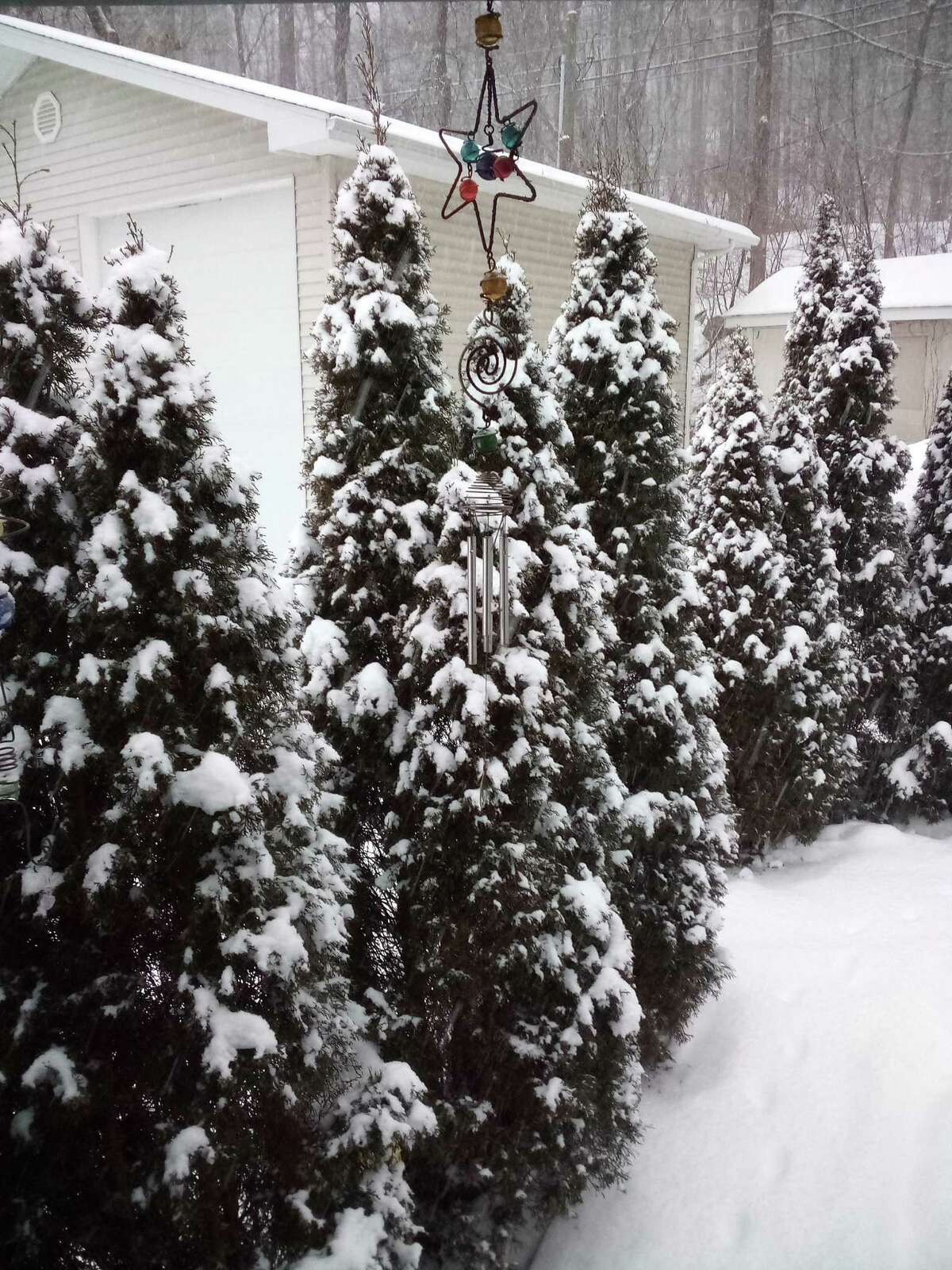 Snow in New Milford.