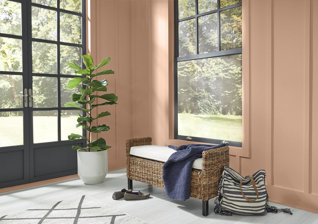 Behr announces 2021 color of the year and it's an earthy 'Canyon Dusk'