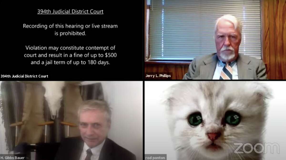 Presidio County Attorney Rod Ponton accidently used a cat filter during a court hearing Tuesday.