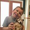 Henry Sampson, 5, of Wilton, with the plush toy owl from the Woodcock Nature Center owl pellet take-home kit.
