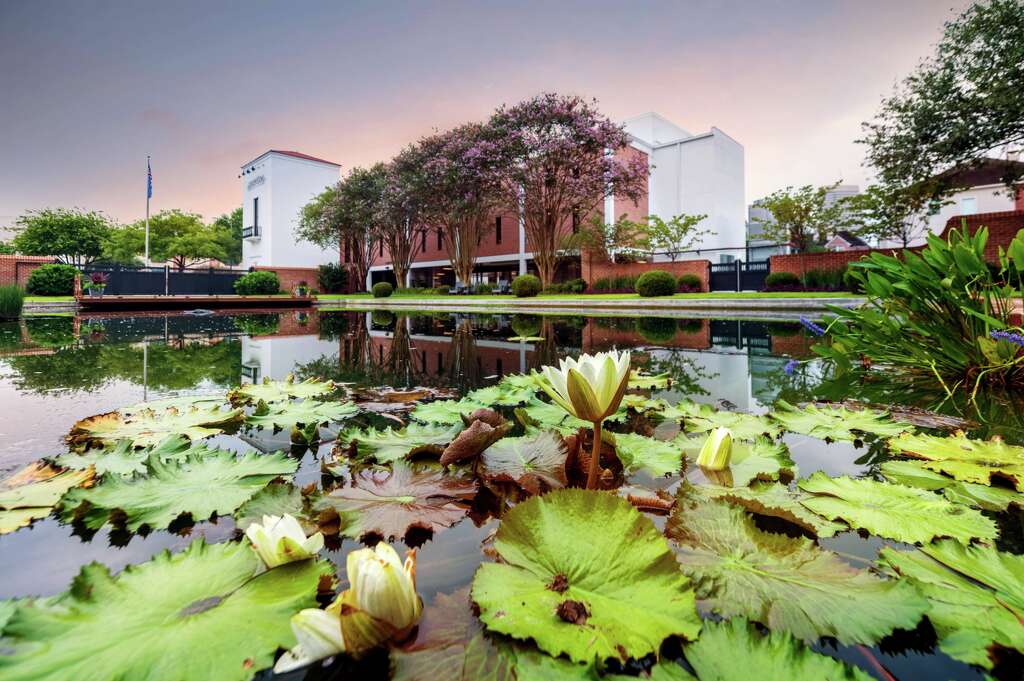 Houston's prettiest backyard patios will inspire your next home