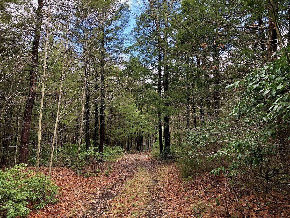 Norbrook Farm Brewery trails contain deep forests, challenging hills ...