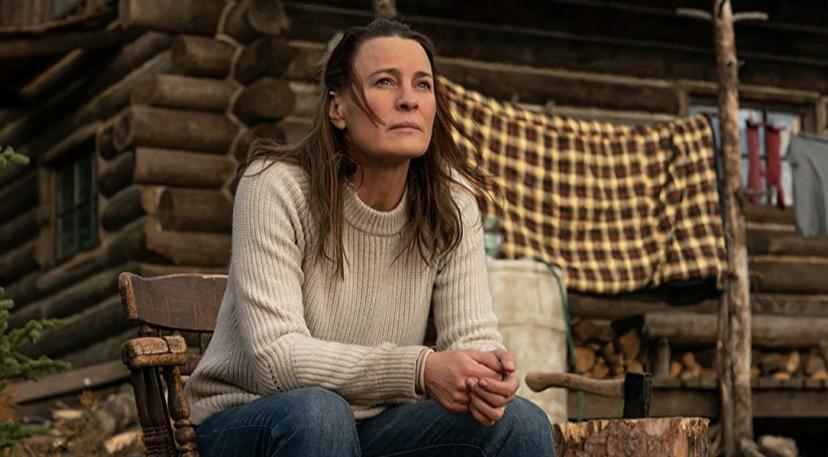 Reel Dad: Robin Wright's new film 'Land' falls short on screen - Vimarsana News