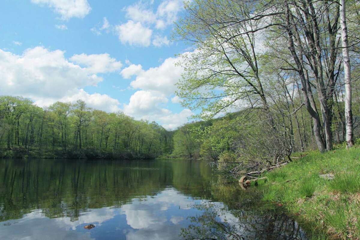 Beeman Pond at the East Kent Hamlet Nature Preserve in an image courtesy of the Kent Land Trust.