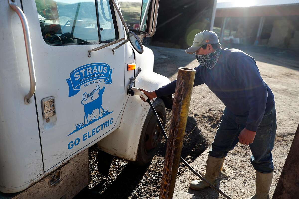 Juan Hernandez unplugs an electric truck powered by energy from the methane digester at Straus Dairy Farm in the Marin County community of Marshall.