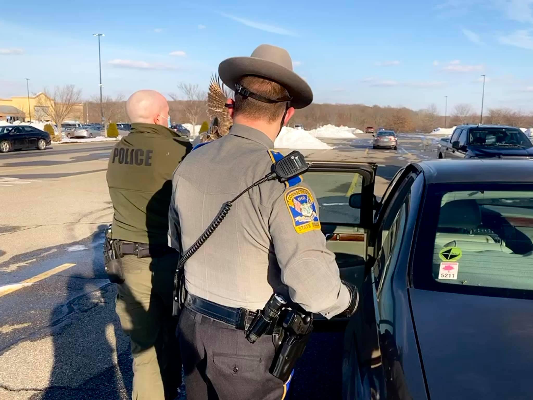 Officials: Hawk fight in Waterford leaves one bird in 'rough shape' - Vimarsana News