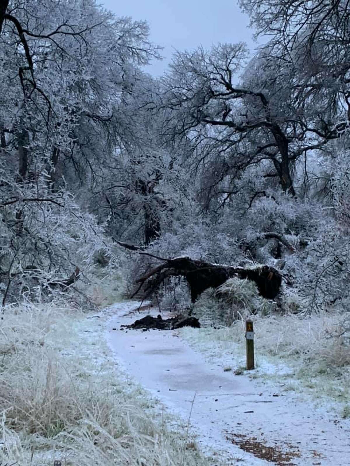 On Friday, Enchanted Rock announced it will be closed for the day on its Facebook account, writing the ice accumulations have made conditions in the park hazardous for visitors.