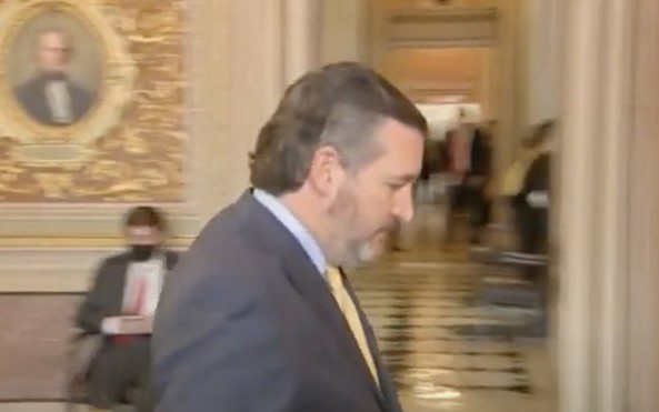 Ted Cruz haircut impeachment mullet Twitter jokes