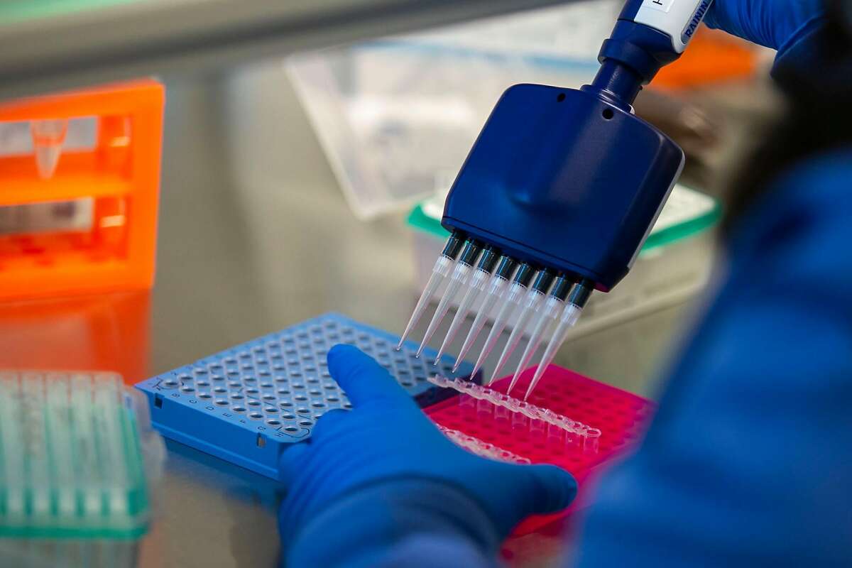 Research associate Paula Serpa processes process samples at the Chan Zuckerberg Biohub in San Francisco in July.