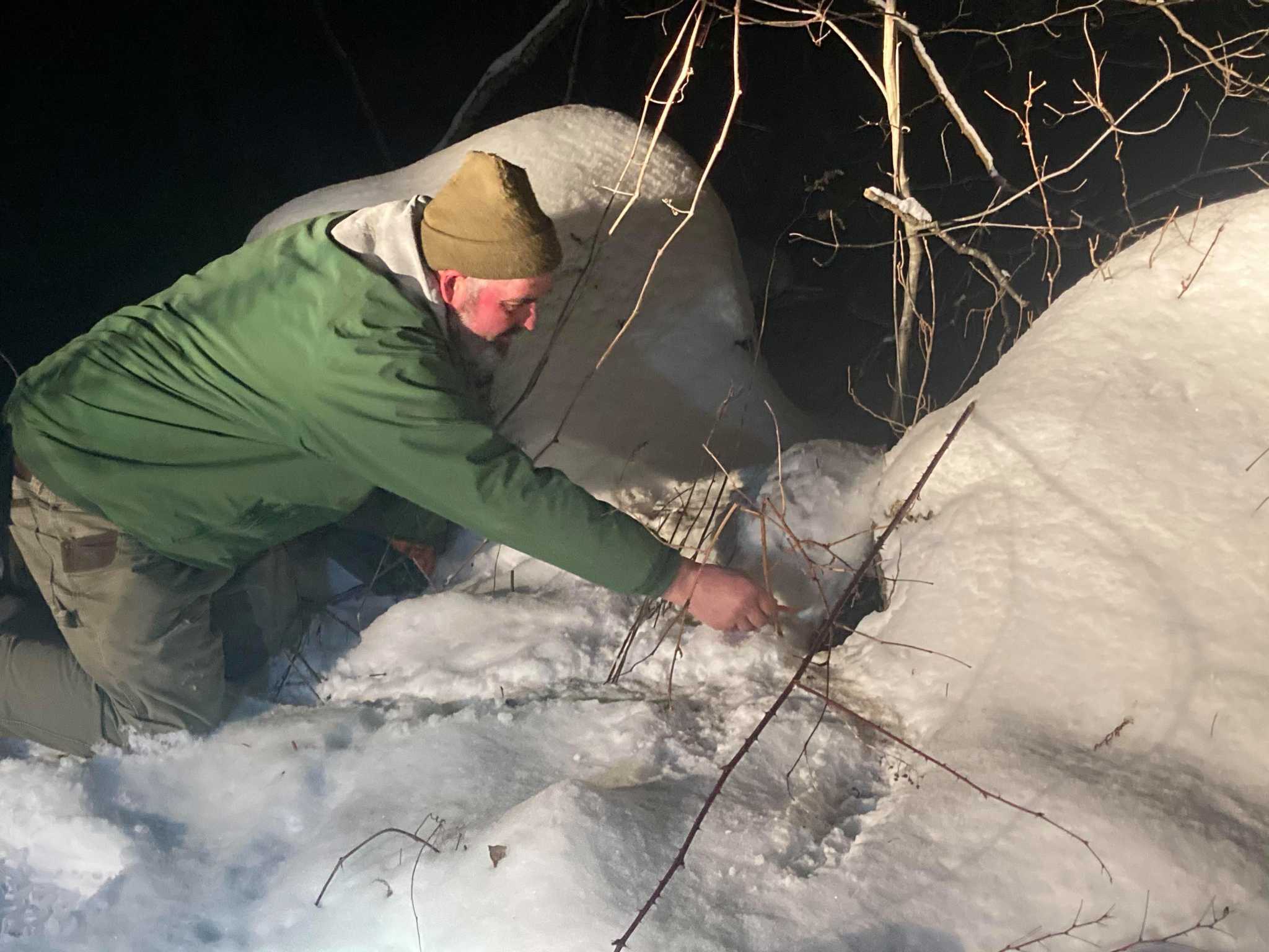 Guinea pig stuck in snowbank among latest rescues for this animal control officer - Vimarsana News