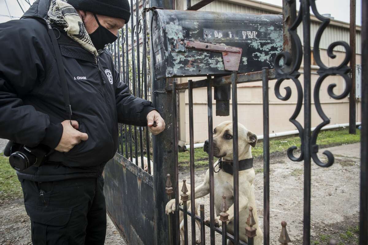 SPCA investigator Jay Chase checks on a dog that was reported to be chained up outside a house while doing an animal welfare check Saturday, Feb. 13, 2021 in Houston. 