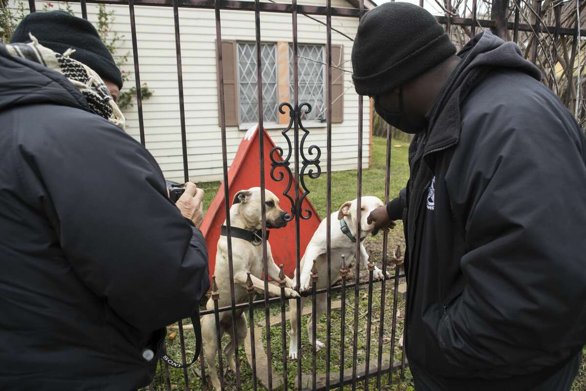 SPCA investigators Jay Chase, left, and D'Questyn Coleman check on a pair of dogs that were reported to be chained up outside a house during recent inclement weather while doing an animal welfare check Saturday, Feb. 13, 2021 in Houston. With frigid temperatures forecast in Texas and the Houston area, the SPCA investigators made their rounds to various parts of the city to check on animals and their well being, and to also give out blankets and give animal owners tips on keeping their animals from the freezing weather.