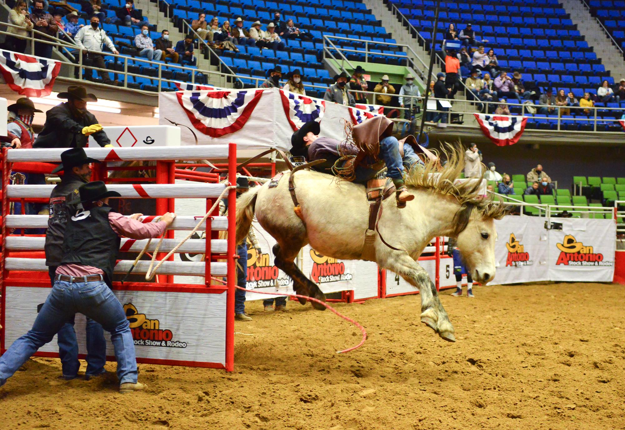 San Antonio Stock Show and Rodeo is back on