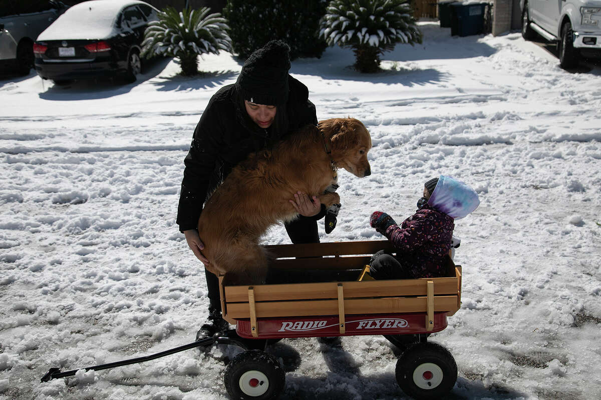 Daniell Sparrow puts Cooper, one of the family's dogs, in the wagon with her daughter, Reagan Sparrow, 3, upon  Reagan's request for Cooper to ride with her, in San Antonio on Feb. 15, 2021. Cooper quickly jumped out of the wagon before the ride began.
