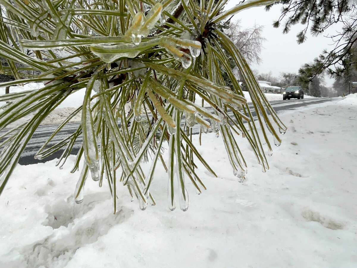 Areas 1,000 feet above sea level could be hit with a mix of snow, sleet and freezing rain Wednesday night and Thursday morning. In this photograph, ice clings to pine needles after a mix of snow, sleet and freezing rain fell earlier this year in East Greenbush and the rest of the Capital Region.