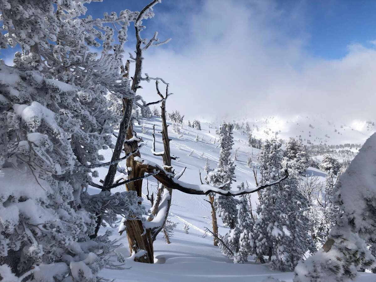 Backcountry skiing in Lake Tahoe in 2019.