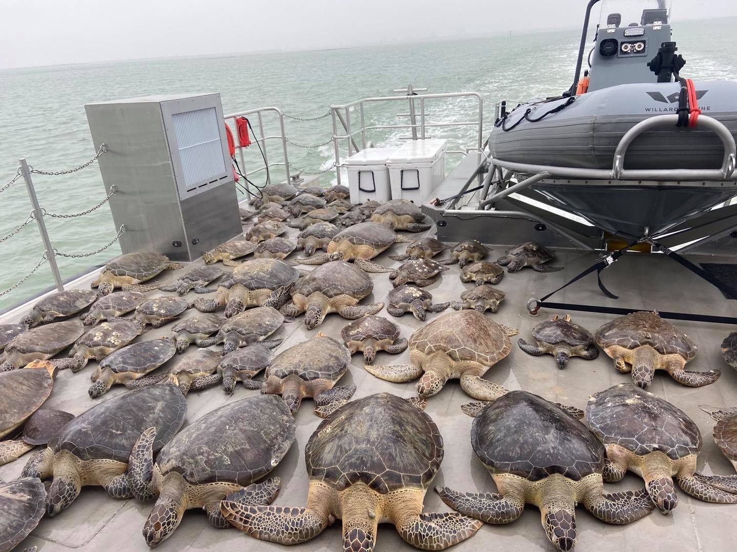 Texas Game Wardens