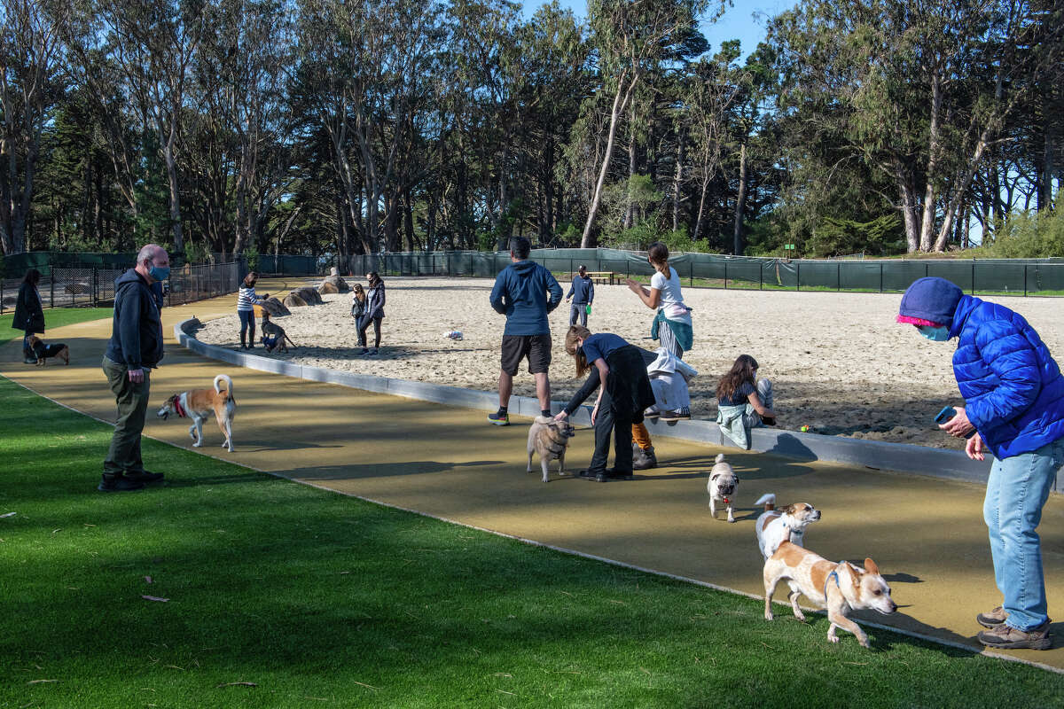 San Francisco’s largest fenced dog park recently reopened following a $2.4 million renovation.