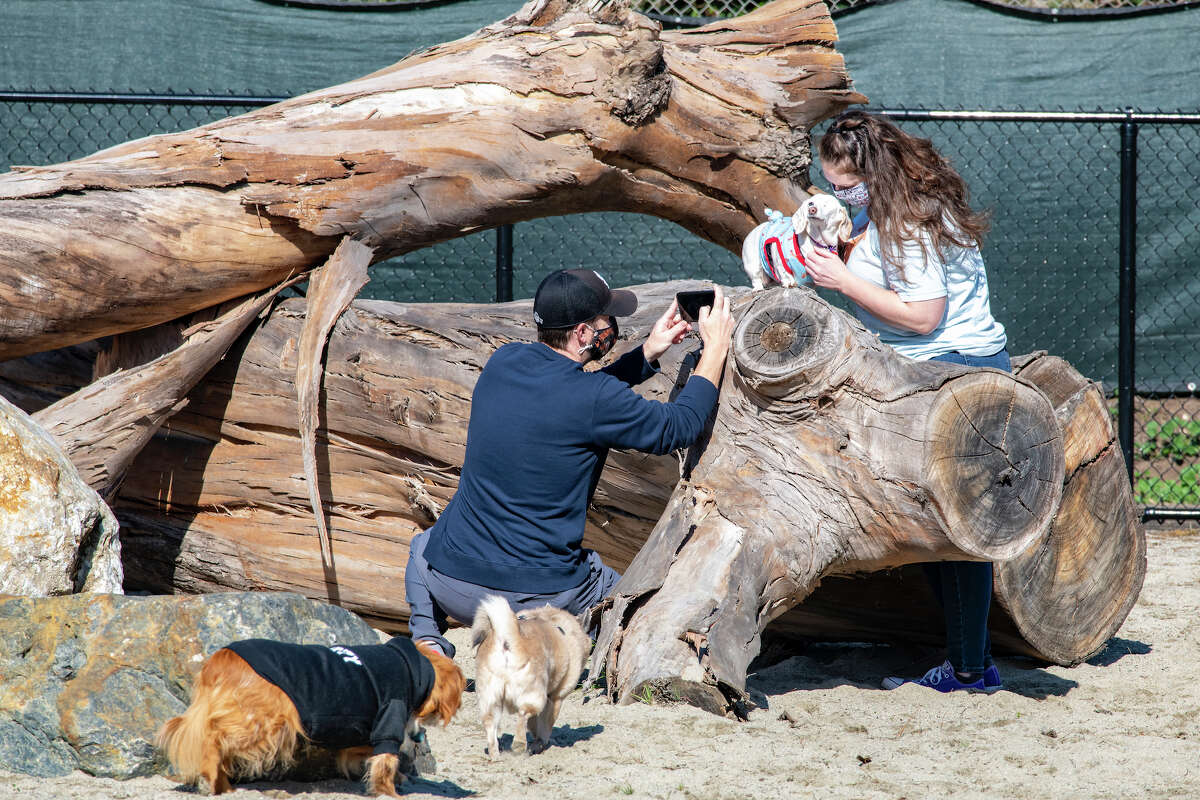 San Francisco’s largest fenced dog park reopens