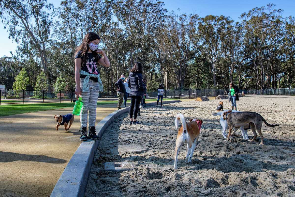 San Francisco’s largest fenced dog park reopens
