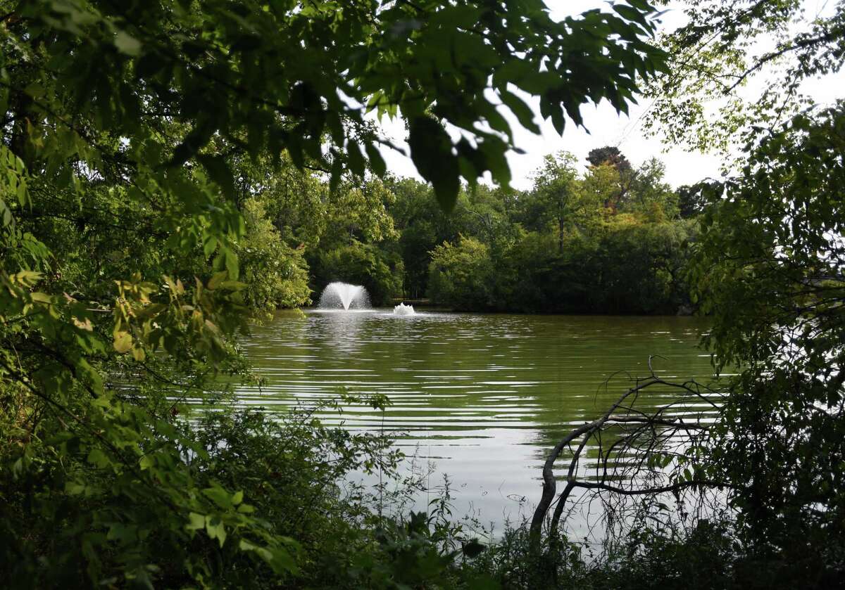 In July of 1982 the body of Hartford single mom Sylvia Baker was found strangled on the shore of Keney Park Pond in Keney Park in Hartford.
