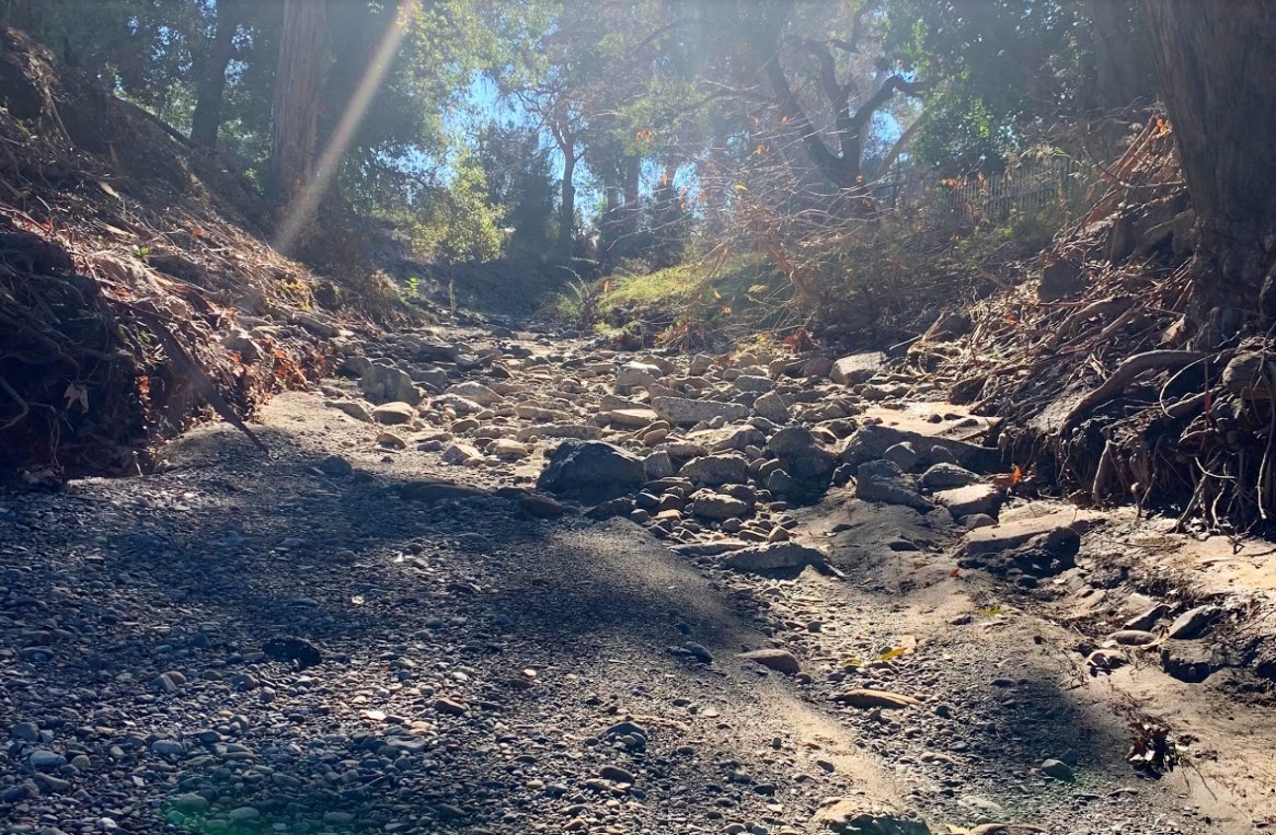 Saratoga Creek restoration project removes more than trees: Some residents lose their backyards - Vimarsana News