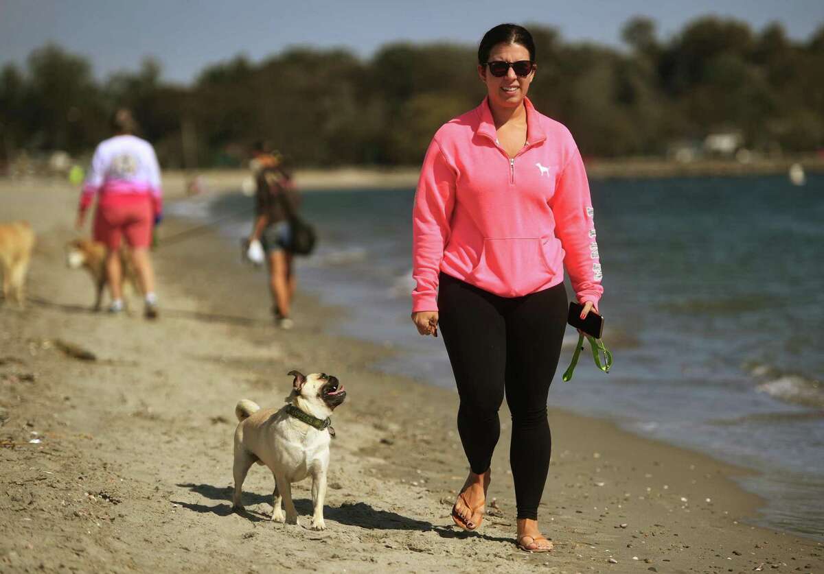 From October through March dogs are welcome to stroll along Jennings Beach in Fairfield.