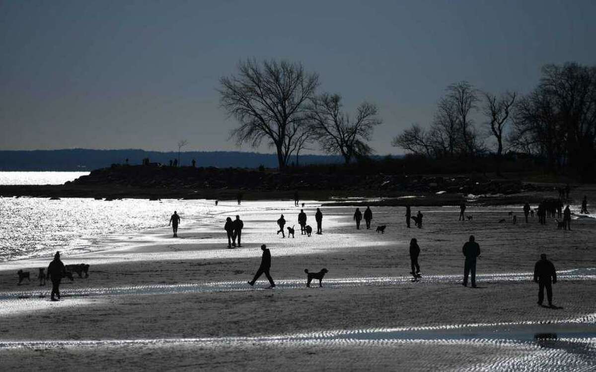 Research projects to promote the health of Long Island Sound and the waters around Greenwich Point will commence this spring.