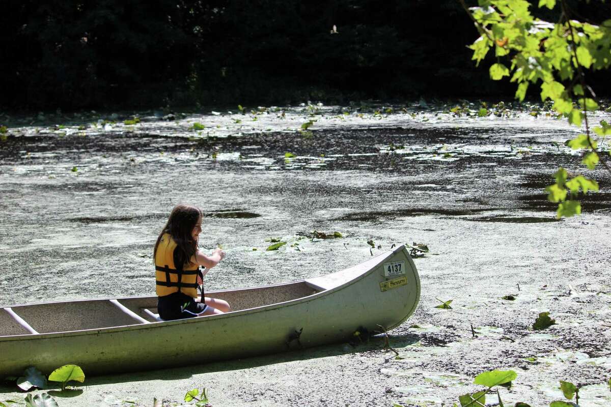 Campers enjoy hands-on activities at Woodcock Nature Center's Summer Camp on Aug. 9, 2017.