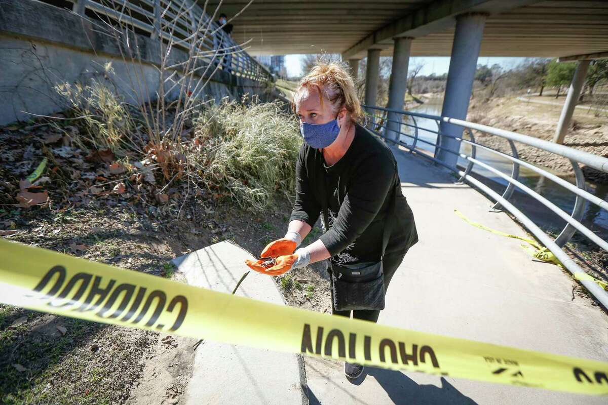Freeze kills off many of Houston’s Waugh Bridge bats