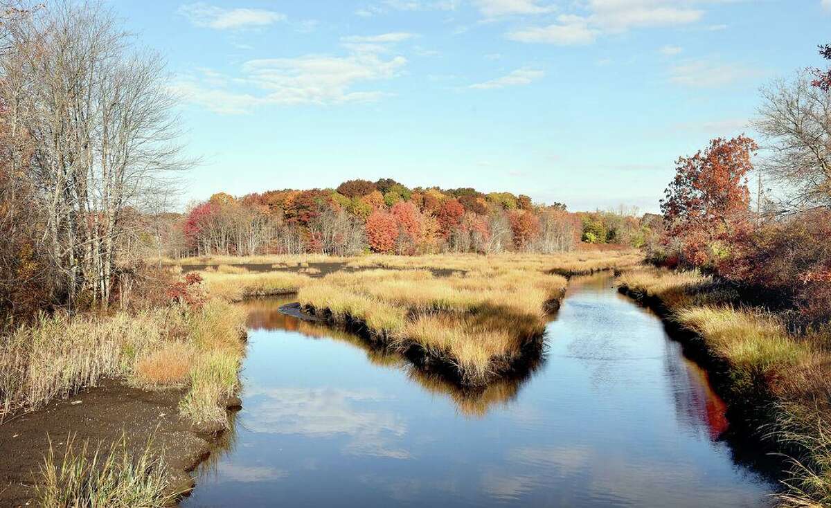 The Cove River and surrounding marsh land in West Haven in 2016.