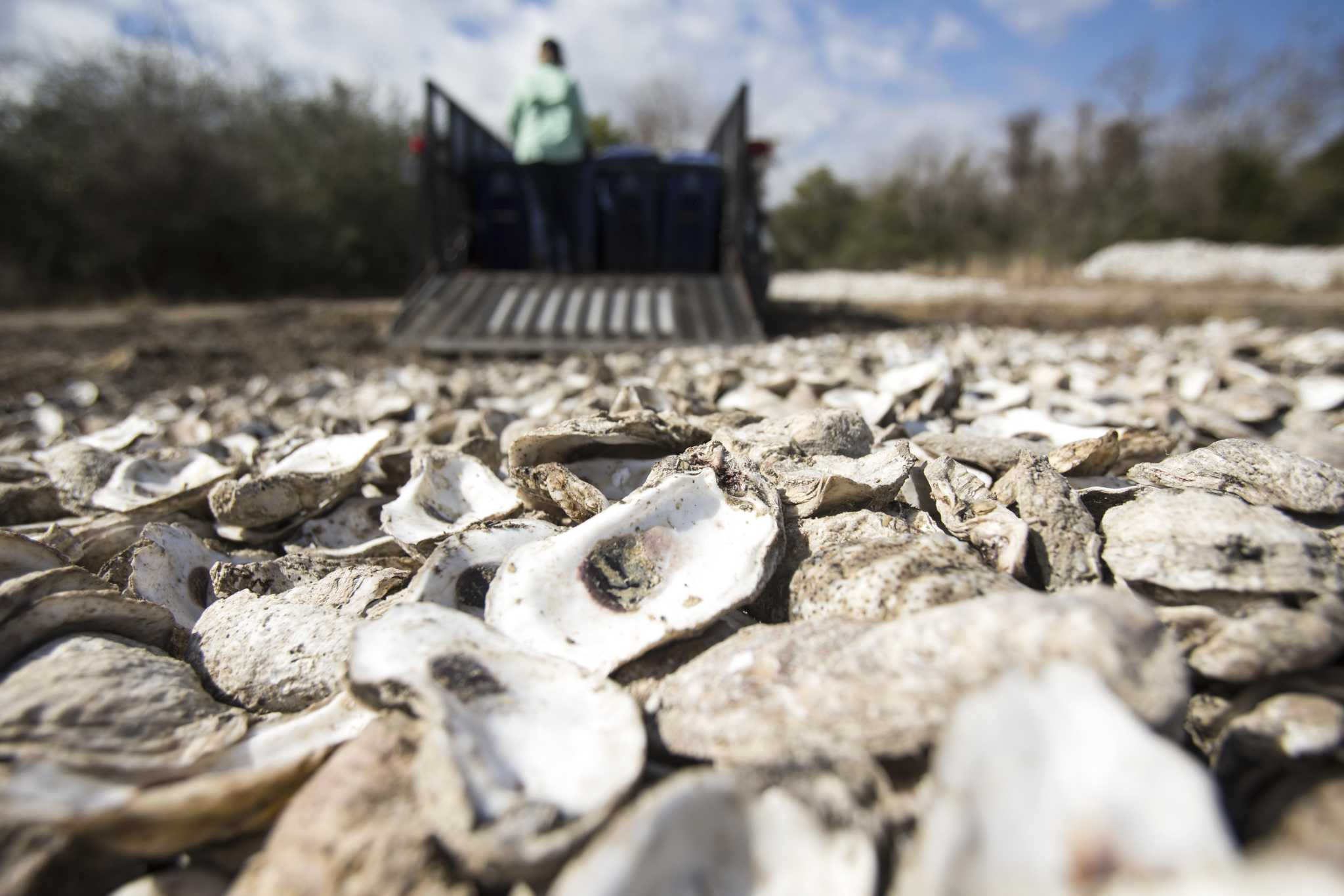 Pioneers of Texas' oyster farming industry embrace the challenges