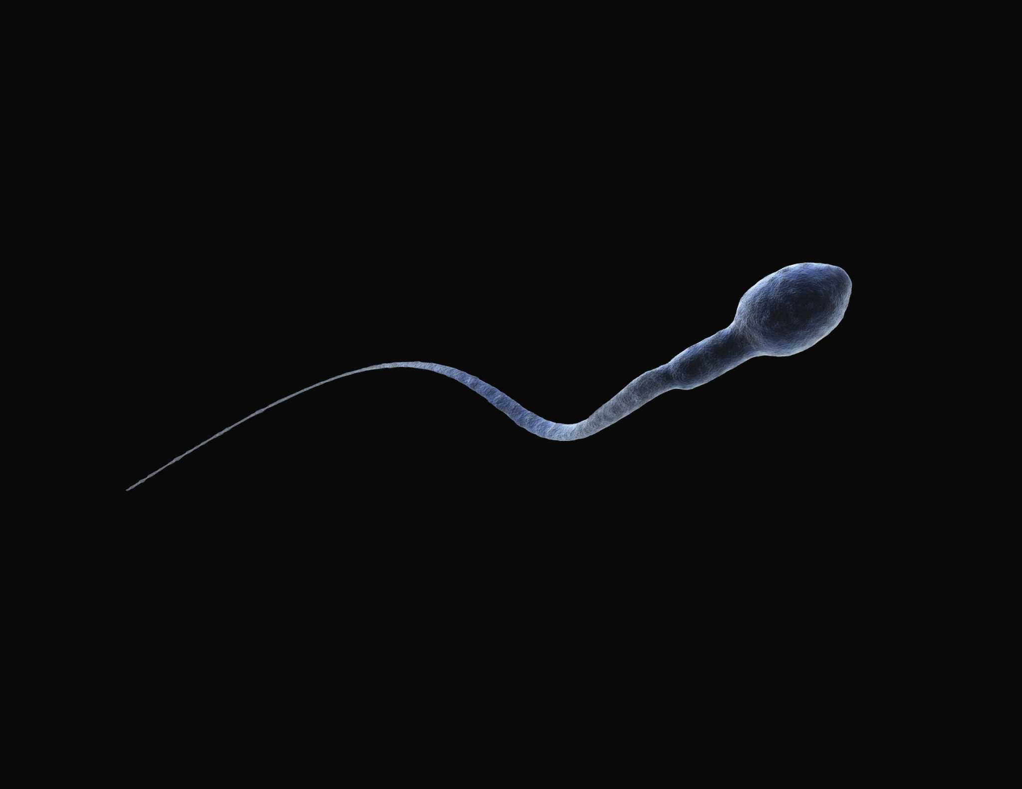 Sperm Counts Are Declining. Apparently That's a Problem. - Vimarsana News