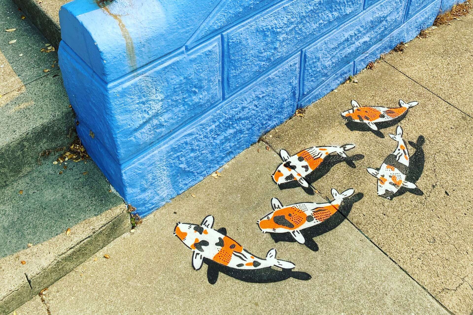 That koi street art you see all over SF? The artist also does house calls.