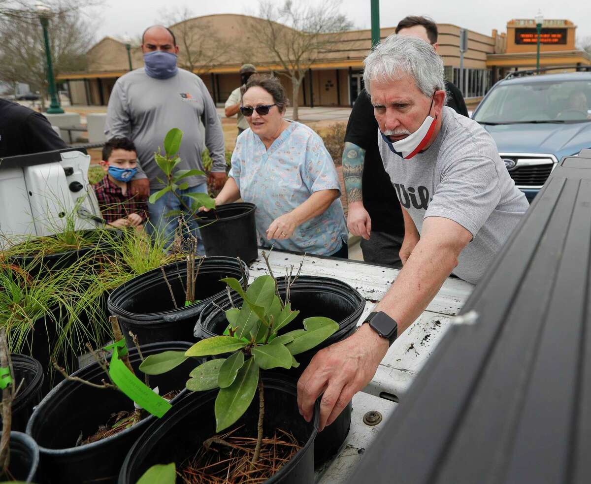 1,000 trees given away in Conroe