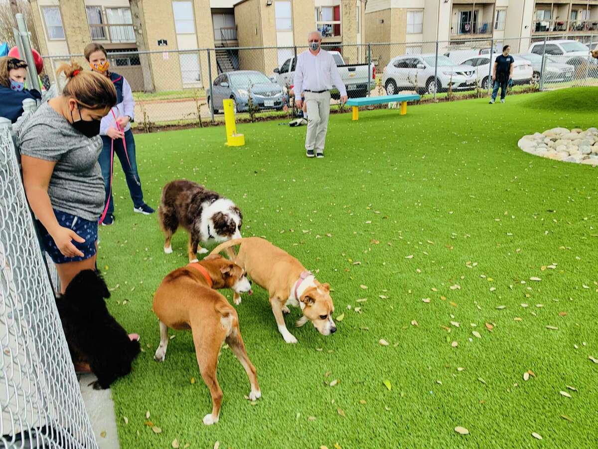 Both dogs and owners had fun at the ribbon cutting event for Westchase District's Sneed Dog Park