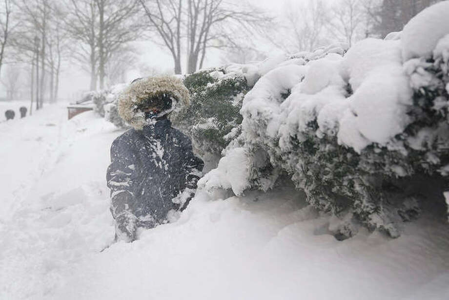 Arturo Diaz, 4, enjoys playing in a deep snow bank. With leafy branches in winter, evergreens are especially good at catching snow, which can be bent, even broken by a heavy snow load. Photo: Seth Wenig | AP