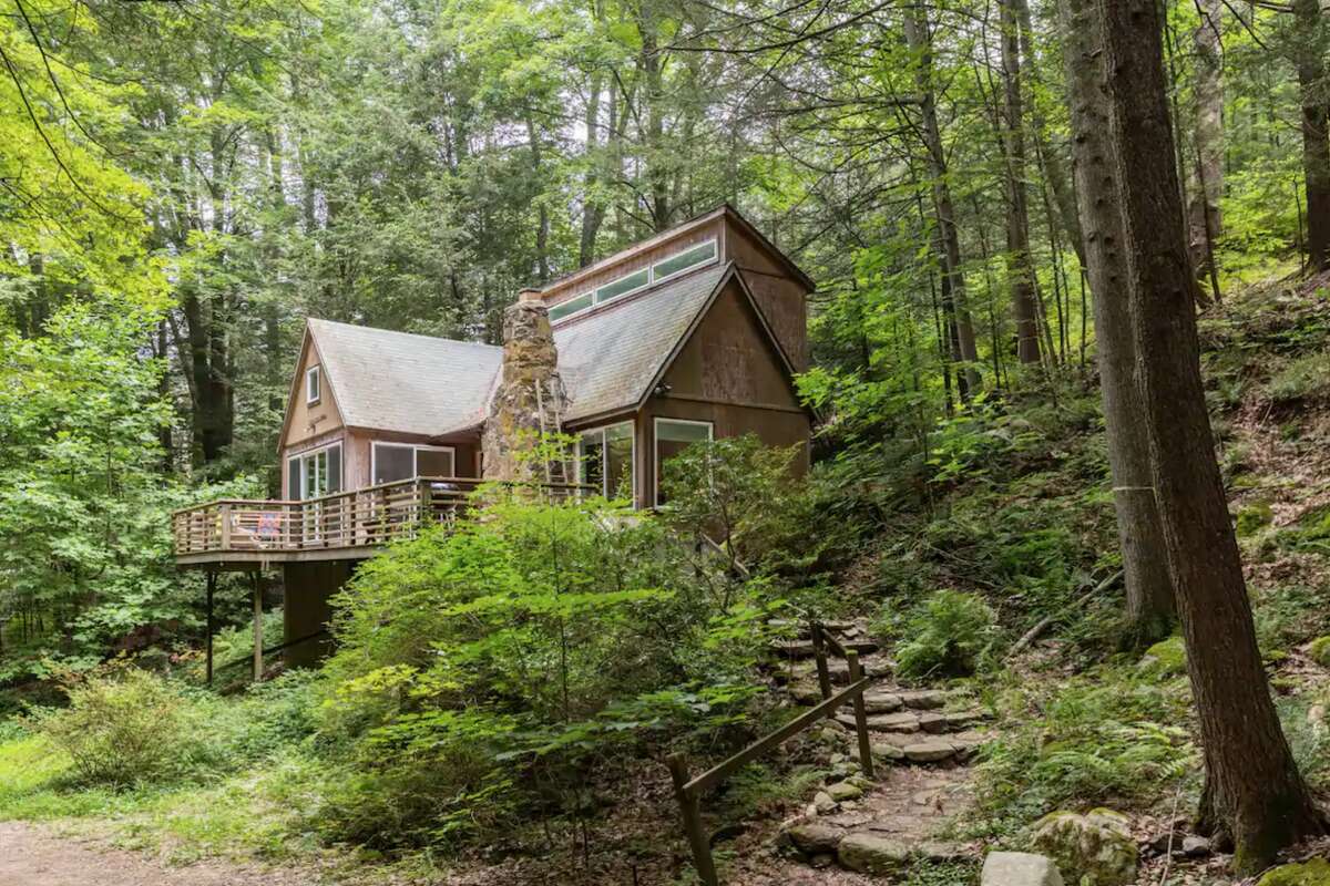 Modern forest cabin, Cornwall Listing