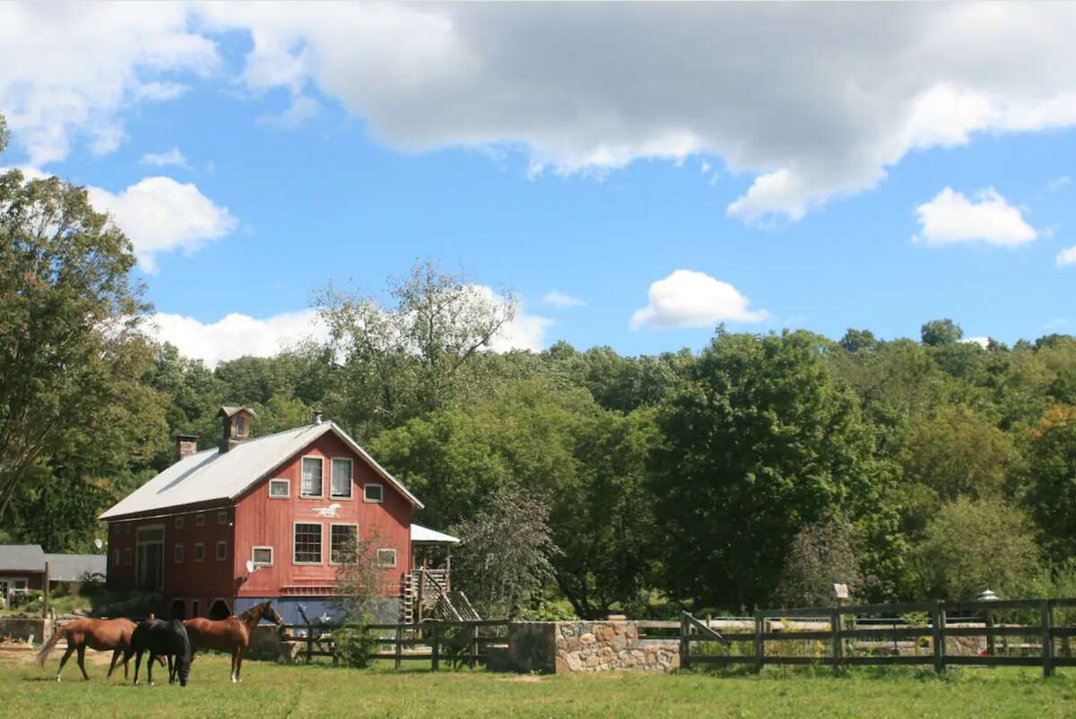 The Spirit Horse Farm, Kent.