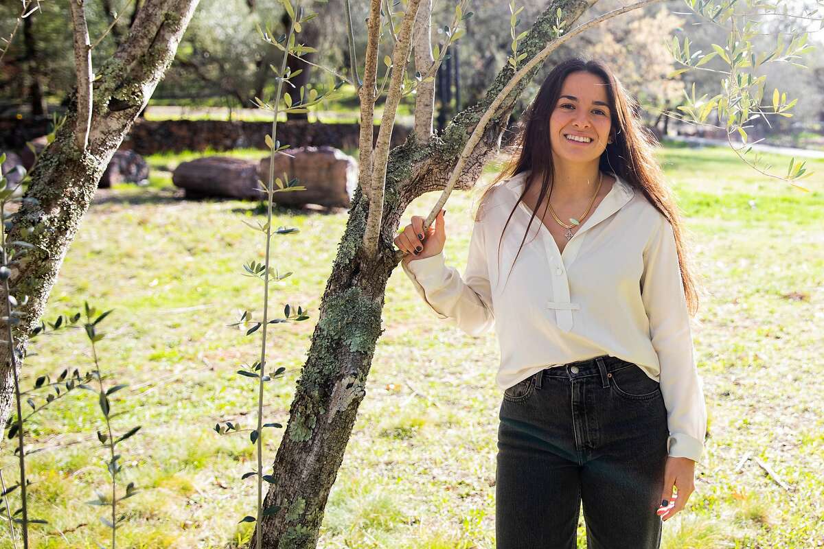 Grove 45 co-owner Marcela Hernandez stands among a grove of 19th century olive trees in St. Helena.