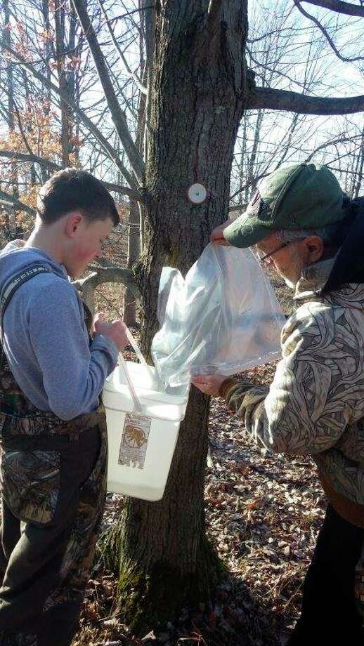 Bob Walker and his grandson Hugh Walker collect maple sap, which will be taken to the nearby sugar shack to be boiled into maple syrup. (Tom Lounsbury/Hearst Michigan)