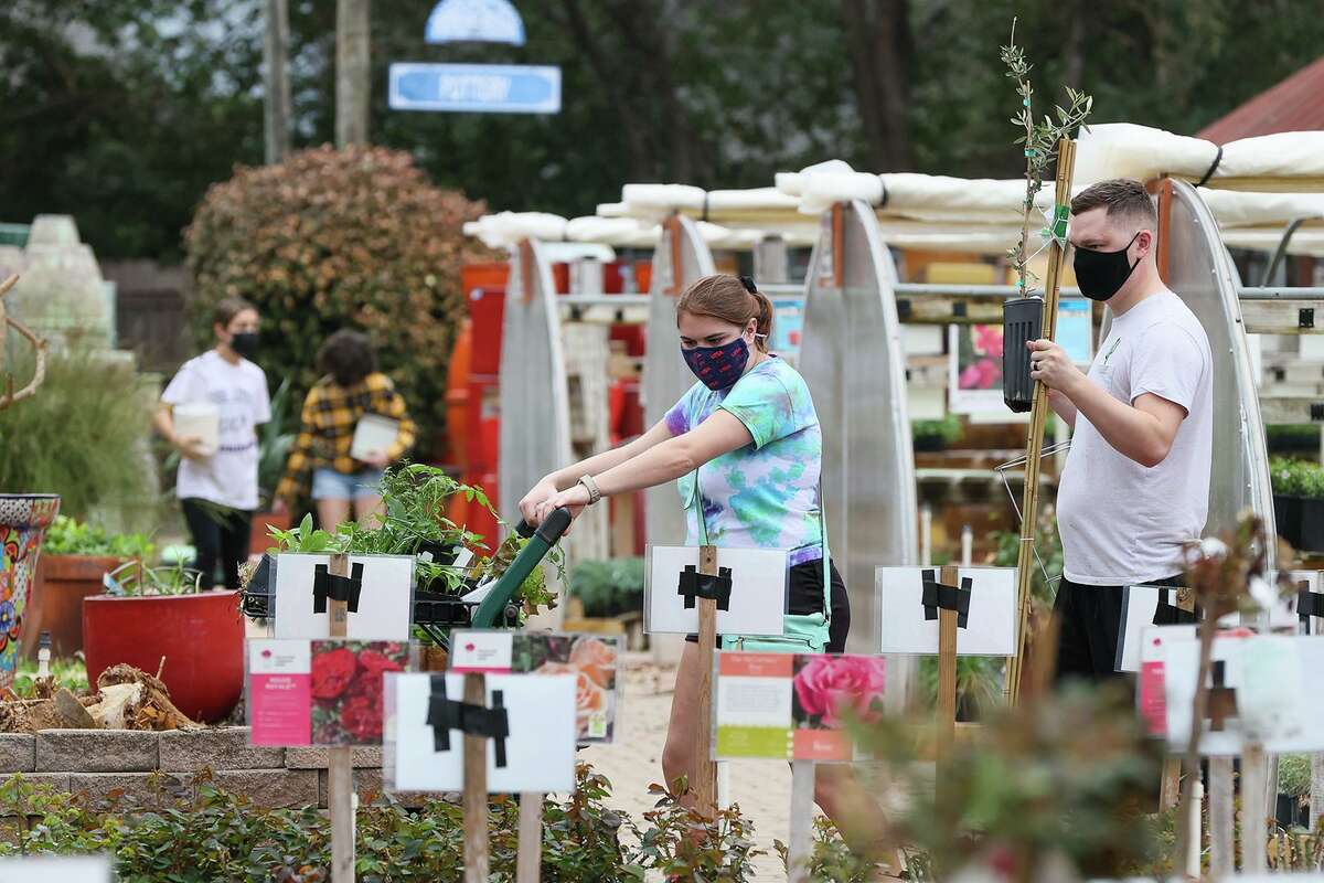 Katelyn Marshall and Devon Butler look to replace plants killed by the arctic storm earlier this month as well as new plants for their vegetable garden at Rainbow Gardens on Bandera Road.