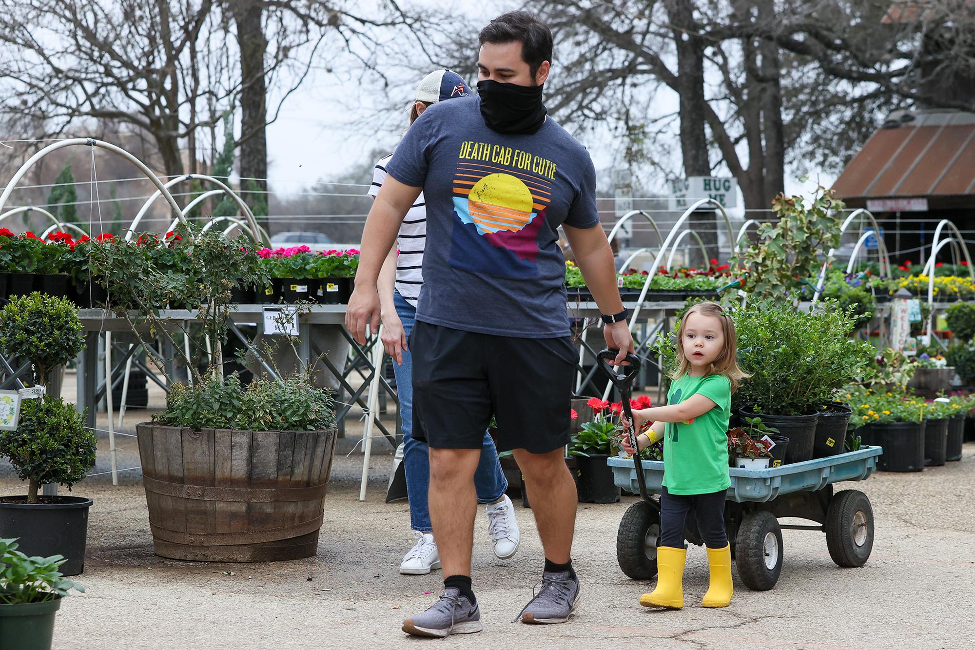 San Antonio nurseries likely to have tight inventory in wake of freeze, advise gardeners to buy it if you like it - Vimarsana News