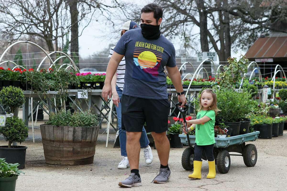 Alex Reyes, 2, help her parents, David and Beth Reyes, look to replace plants killed by the arctic storm at Milberger’s Landscaping and Nursery.