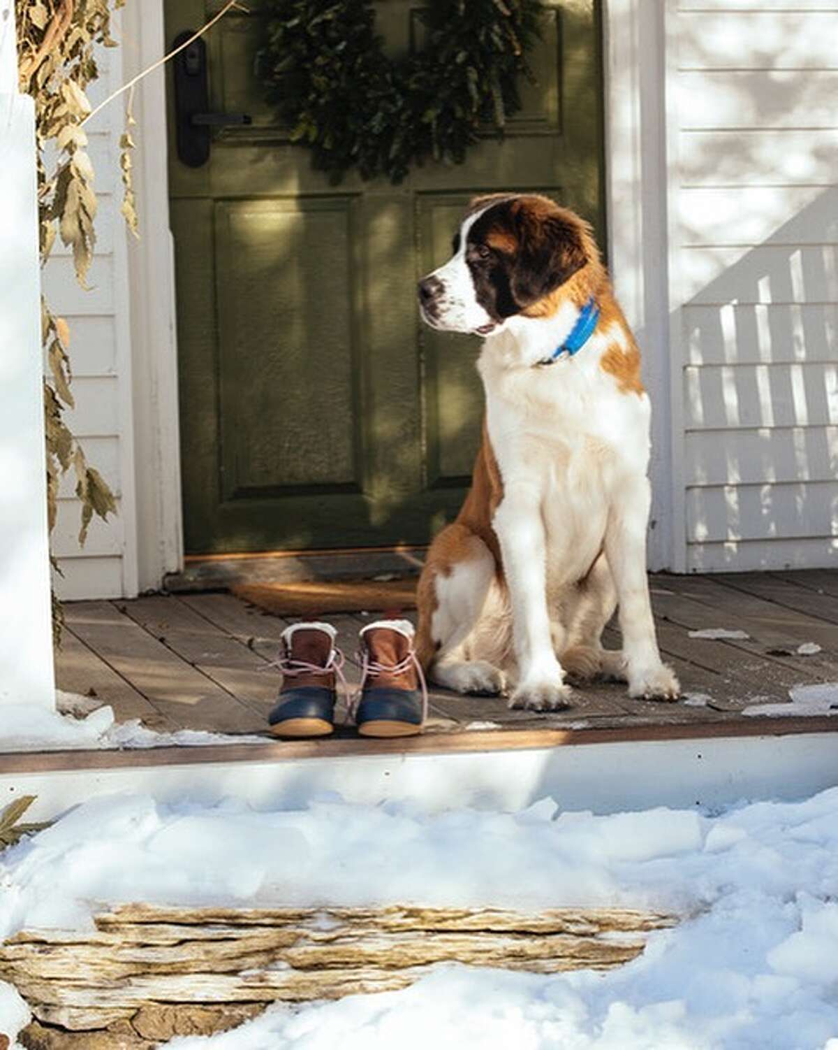 Come. Sit. Stay 10 dogfriendly boutique hotels and inns in the Hudson