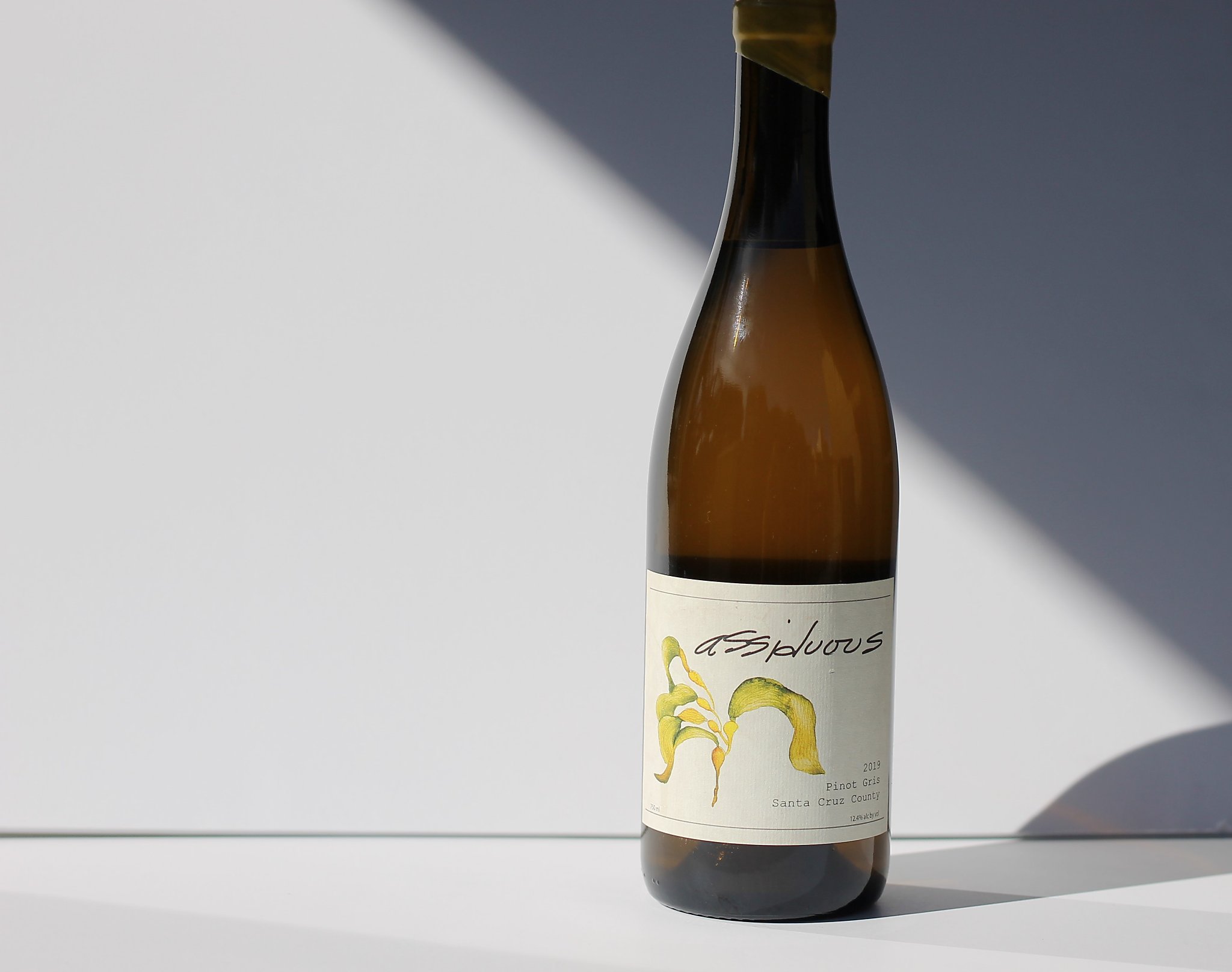 This $18 Pinot Gris is a jolt of the cool, briny Santa Cruz ocean air - Vimarsana News