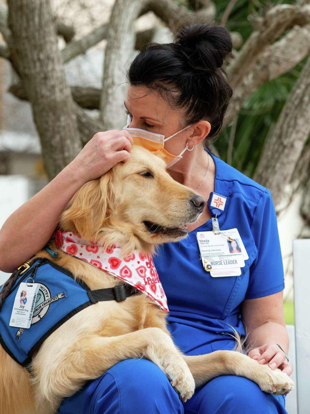 Lutheran K-9 Ministry's Joy the Comfort Dog receives some love from registered nurse Sheila Rios outside HCA Healthcare Clear Lake on Monday, Feb. 8, 2021, in Webster, Texas.