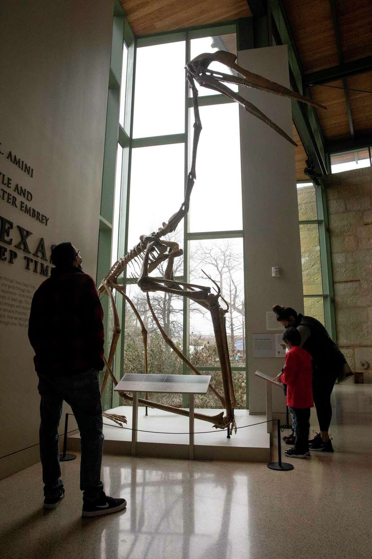 Frankie Lopez (left) and his wife Nicole and their children Austin and Aubree check out a skeletal replica of the Quetzalcoatlus at the Witte Museum. The mighty pterosaur likely walked on all fours.