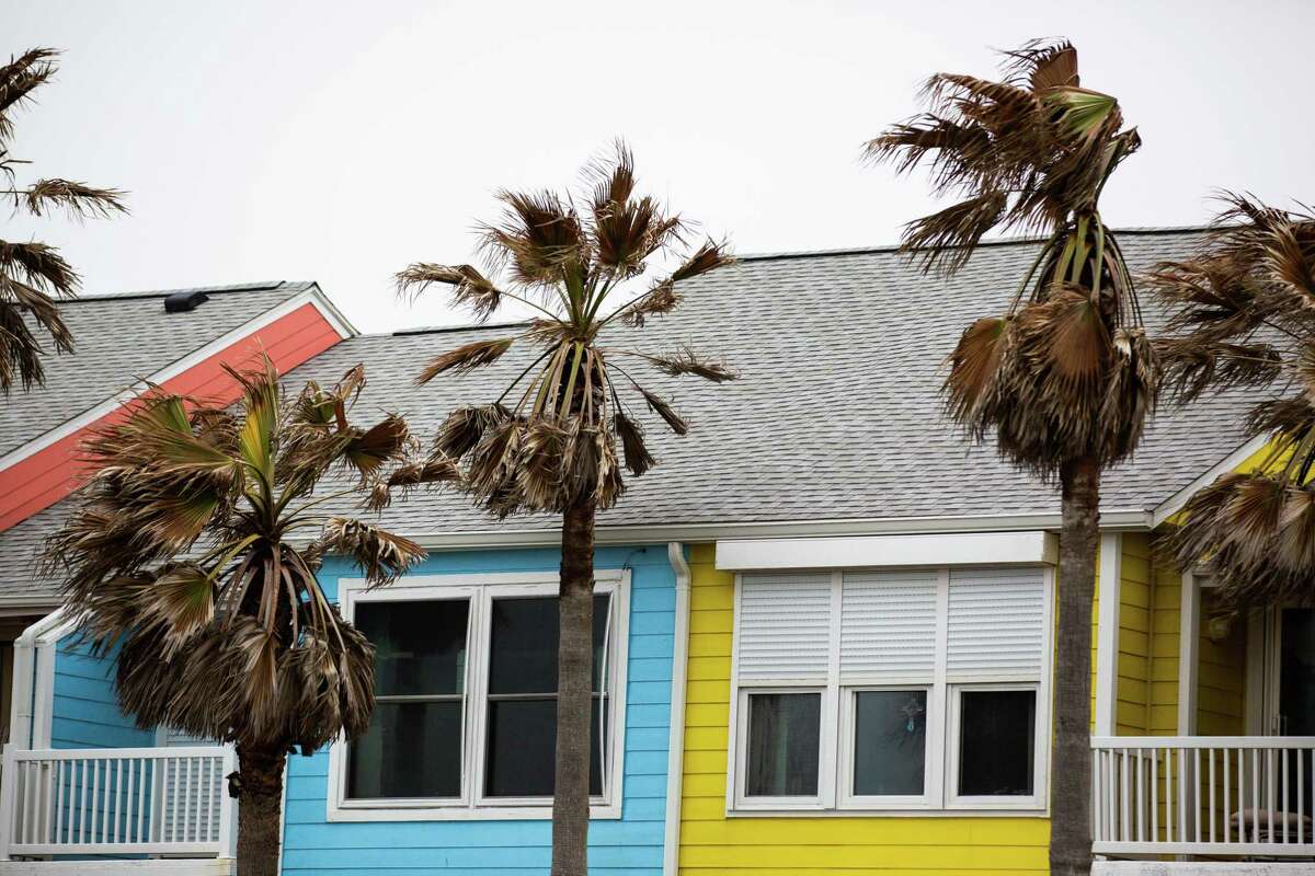 Damaged palm trees, Monday, March 1, 2021, in Galveston.